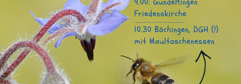 Wir feiern Erntedank