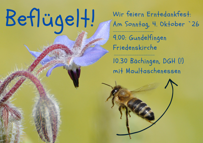 Gottesdienst für Groß und Klein zum Erntedankfest